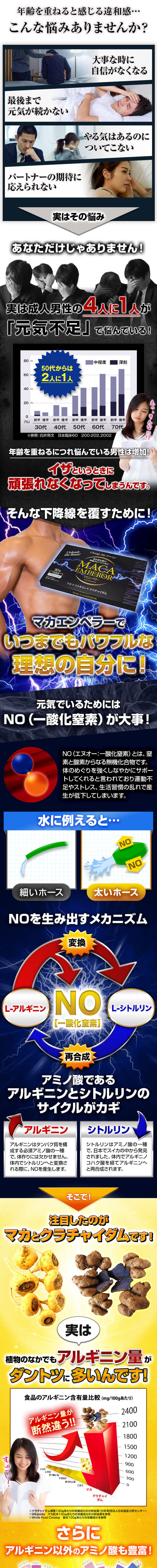 punpunp様専用マカエンペラー 1箱90粒入 1包3粒×30包 ×5箱セット-